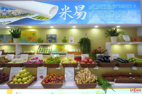 芒果 石榴 黑松露 攀枝花百余種特色農(nóng)產(chǎn)品亮相四川農(nóng)博會