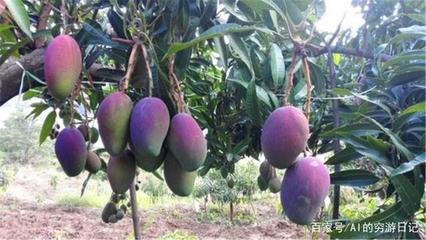 四川未來(lái)最&ldquo;吃香&rdquo;的城市,成都、綿陽(yáng)落榜,這個(gè)城市眾望所歸