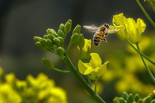 水韻江蘇 第十九期 春暖花開(kāi)