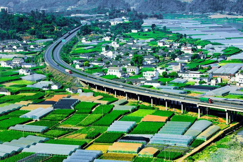 聆聽 攀枝花開 ,著名詞人 音樂人聯(lián)袂創(chuàng)作,屬于攀枝花人的歌