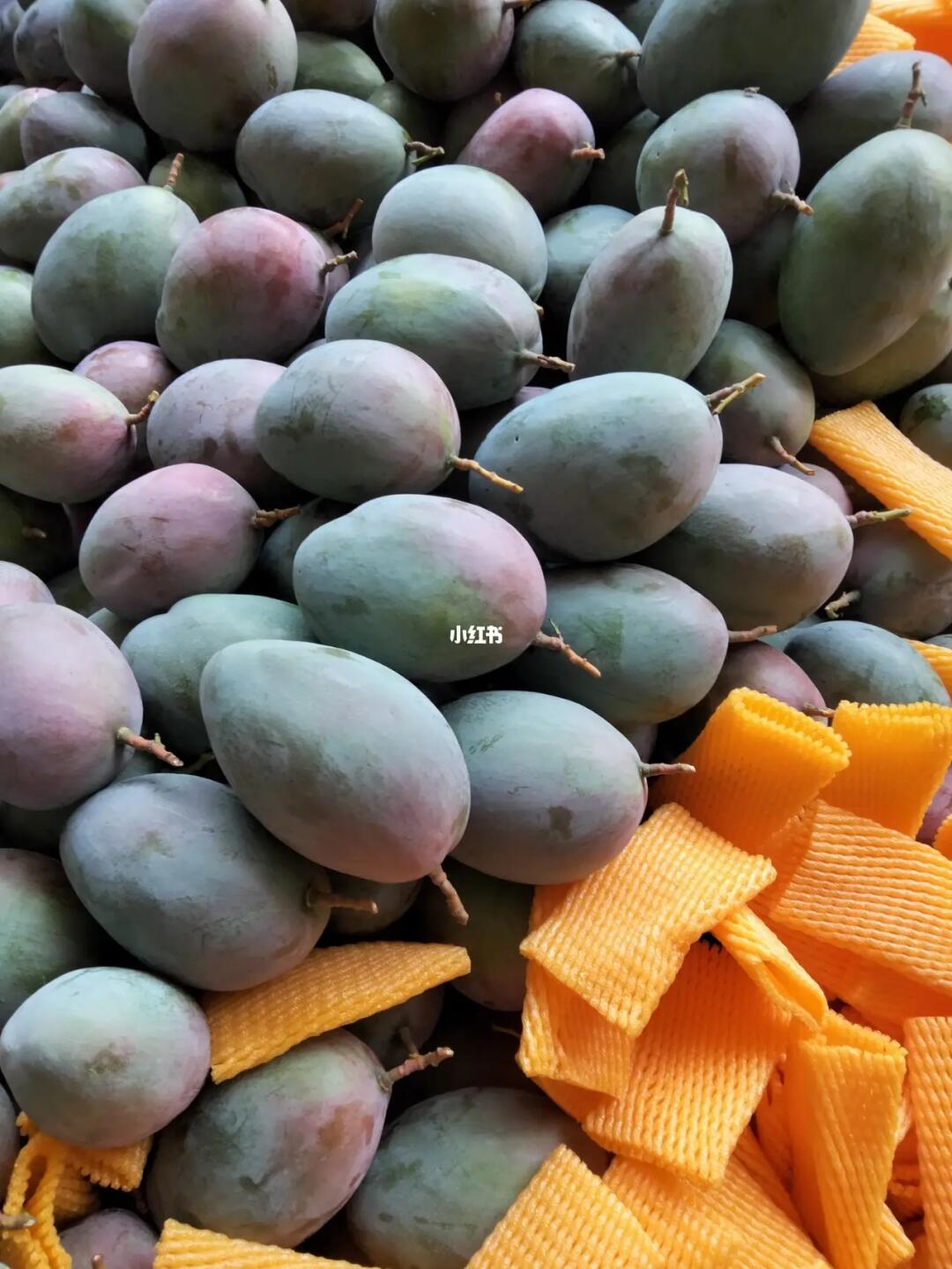 四川攀枝花優(yōu)質(zhì)基地農(nóng)產(chǎn)品當(dāng)季新鮮現(xiàn)摘現(xiàn)發(fā)凱特芒果十斤整箱包郵