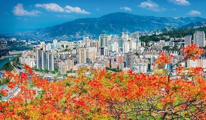 2018成都出發 攀枝花——四川的四季風情畫卷