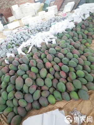 預(yù)售實惠 攀枝花凱特芒10斤裝僅35元，7月12日發(fā)貨