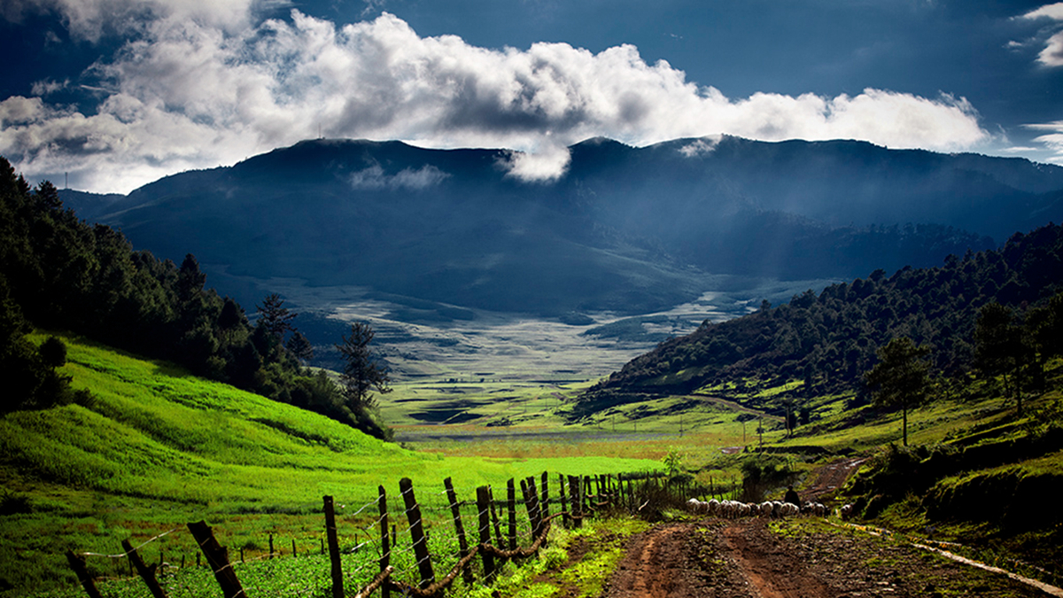 攀枝花 從鋼鐵重鎮(zhèn)到國家認(rèn)證的“天堂”