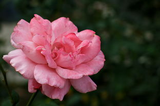 行攝攀枝花學院 鋼鐵之城中的學術綠洲